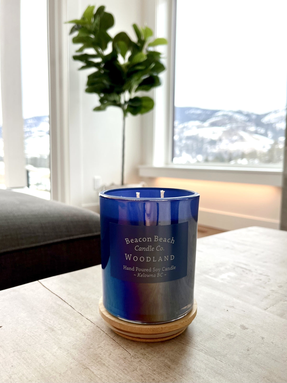 Candle Iridescent 15oz. Sold Out!
